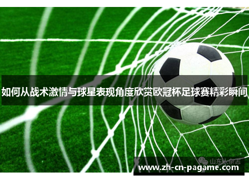 如何从战术激情与球星表现角度欣赏欧冠杯足球赛精彩瞬间